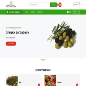 Скриншот главной страницы сайта hyllarima.ru