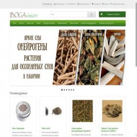 Скриншот главной страницы сайта ibogavision.ru