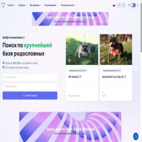 Скриншот главной страницы сайта ica.dog