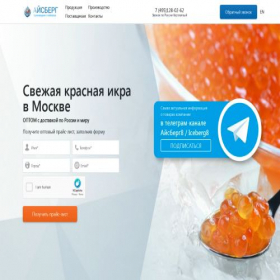 Скриншот главной страницы сайта iceberg-food.ru