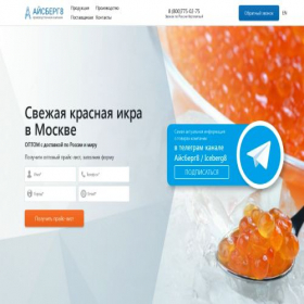Скриншот главной страницы сайта iceberg8.top