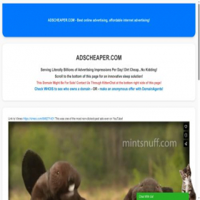 Скриншот главной страницы сайта idiotrobot.com