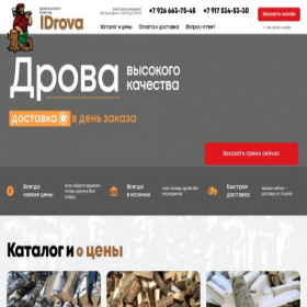 Скриншот главной страницы сайта idrova.ru