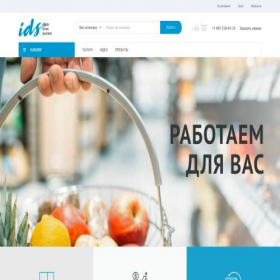 Скриншот главной страницы сайта idsgroup.ru