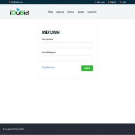 Скриншот главной страницы сайта idubid.com