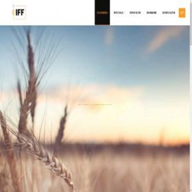 Скриншот главной страницы сайта iff.org.ua