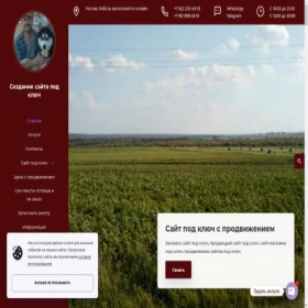 Скриншот главной страницы сайта iliru.ru