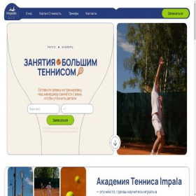Скриншот главной страницы сайта impala-academy.ru