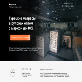 Скриншот главной страницы сайта importer.su