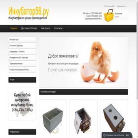 Скриншот главной страницы сайта incubator56.ru