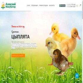 Скриншот главной страницы сайта incubird.ru