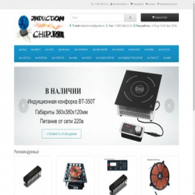 Скриншот главной страницы сайта induction-chip.ru