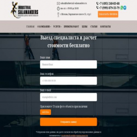 Скриншот главной страницы сайта industrial-salamanders.ru