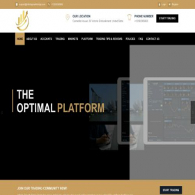 Скриншот главной страницы сайта infinitegrowthbridge.com