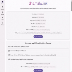 Скриншот главной страницы сайта info.dns.malw.link