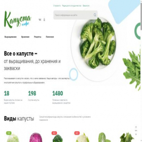 Скриншот главной страницы сайта infokapusta.ru