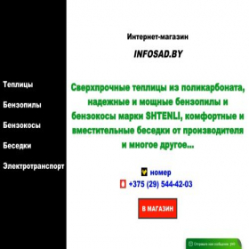 Скриншот главной страницы сайта infosad.by