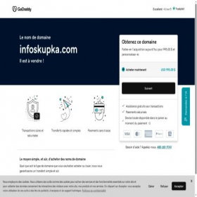Скриншот главной страницы сайта infoskupka.com