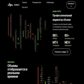 Скриншот главной страницы сайта inssidex.com