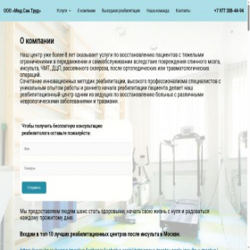 Скриншот главной страницы сайта insulta.net