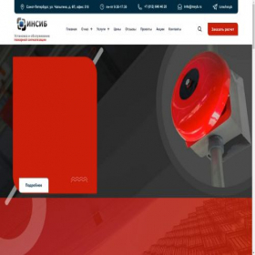 Скриншот главной страницы сайта insyb.ru