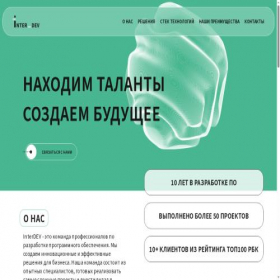 Скриншот главной страницы сайта inter-dev.ru