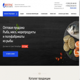Скриншот главной страницы сайта intras24.ru
