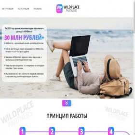 Скриншот главной страницы сайта invistwb.ru