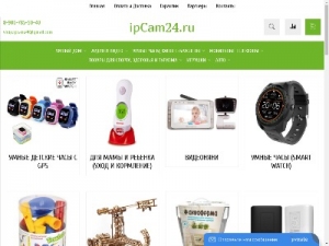 Скриншот главной страницы сайта ipcam24.ru