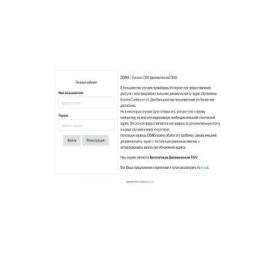 Скриншот главной страницы сайта ipnodns.ru