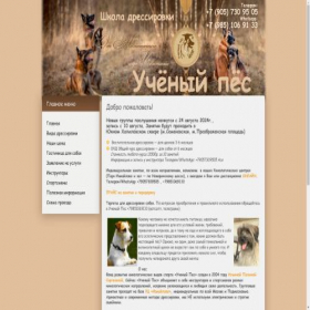 Скриншот главной страницы сайта iqdog.ru