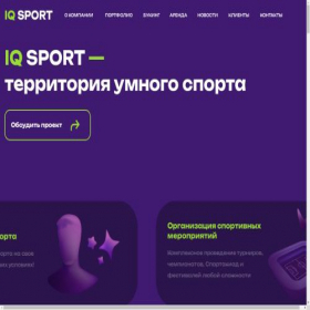 Скриншот главной страницы сайта iqsport.ru