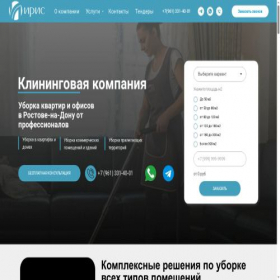 Скриншот главной страницы сайта iris-cleaning.com