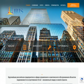 Скриншот главной страницы сайта iris.ru