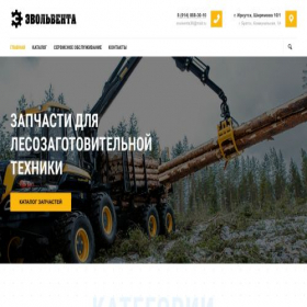 Скриншот главной страницы сайта irkzip.ru