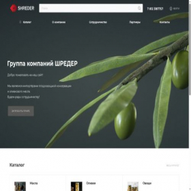 Скриншот главной страницы сайта iska.ru