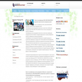 Скриншот главной страницы сайта iso-consulting.ru