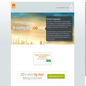 Скриншот главной страницы сайта it-company.co