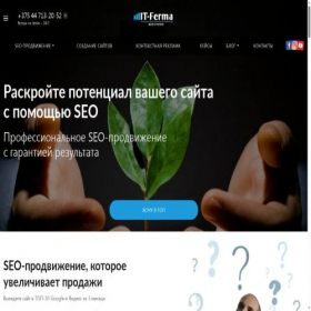 Скриншот главной страницы сайта it-ferma.by