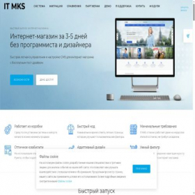 Скриншот главной страницы сайта it-mks.ru