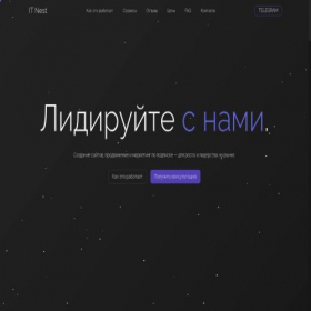 Скриншот главной страницы сайта itnest.ru