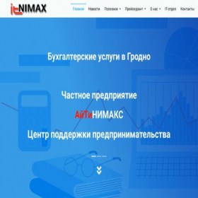 Скриншот главной страницы сайта itnimax.by