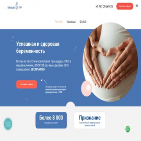 Скриншот главной страницы сайта ivfalmaty.kz