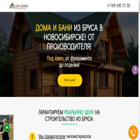 Скриншот главной страницы сайта iz-brusa54.ru
