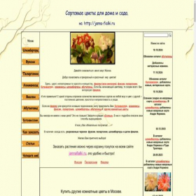 Скриншот главной страницы сайта janna-fialki.ru