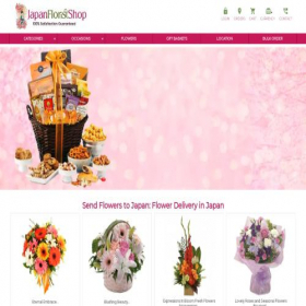 Скриншот главной страницы сайта japanfloristshop.com