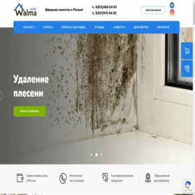 Скриншот главной страницы сайта jape-spb.ru