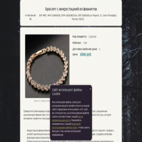 Скриншот главной страницы сайта jewelryride.ru