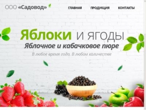 Скриншот главной страницы сайта jsnils19.ga