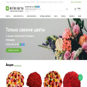 Скриншот главной страницы сайта juzhno-sahalinsk.dostavka-cvetov24.ru
